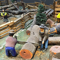 Yenawine Dioramas Timber Activities